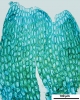 Cephaloziella integerrima