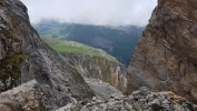 Schistidium grande