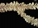 Plagiochila bialata