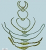 Dicranum flexicaule